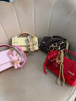 Mini Bag Charme